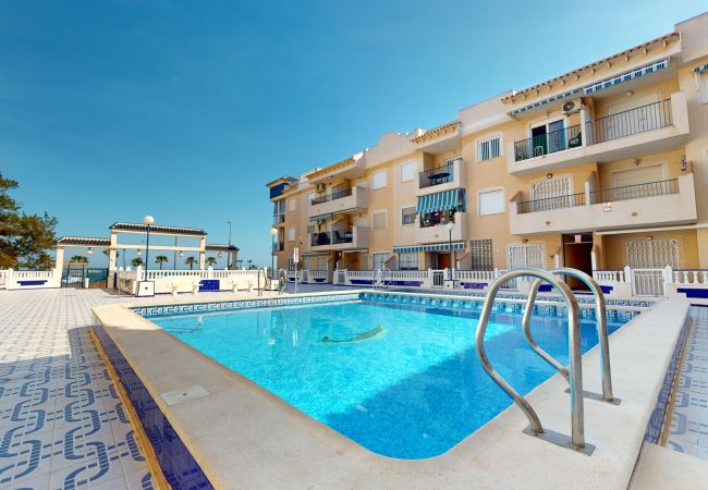 Torrevieja - Apartamento