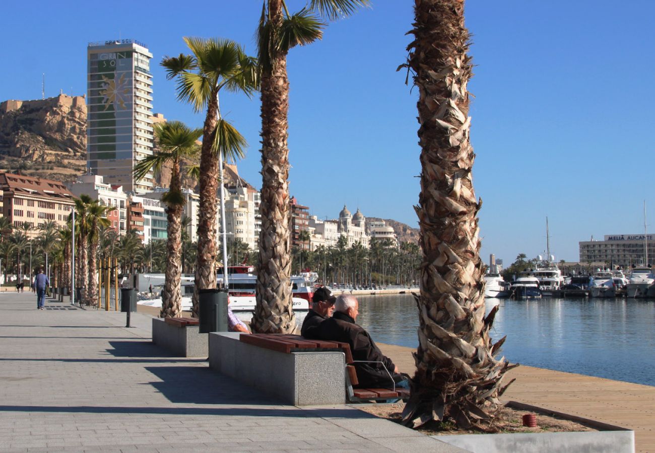 Apartment in Alicante / Alacant - Alicante Colorful Center 4A