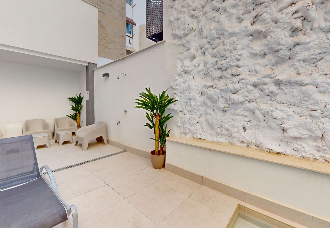 Apartment in Alicante / Alacant - Alicante Colorful Penthouse Center 5A