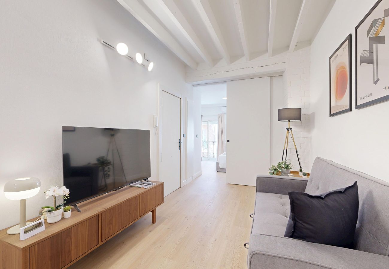 Apartment in Alicante / Alacant - Friendly City Center III